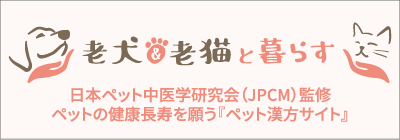 老犬老猫暮らし