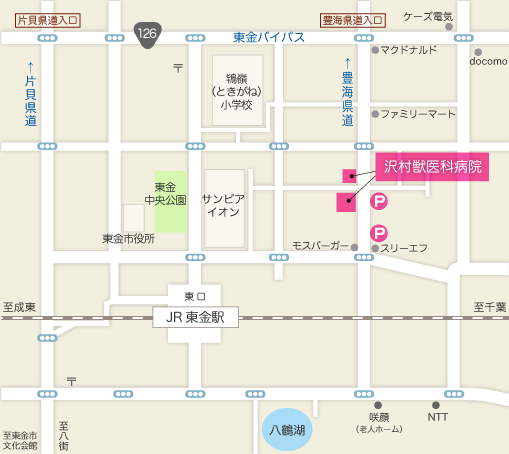 沢村獣医科病院までのアクセス・地図