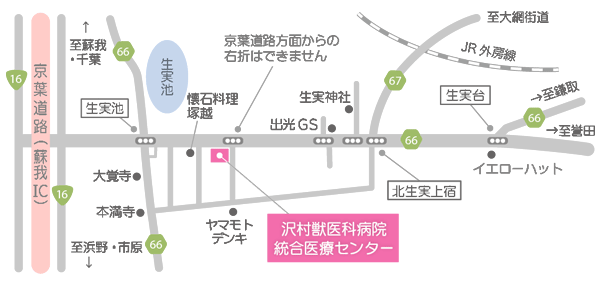 沢村獣医科病院 統合医療センター地図