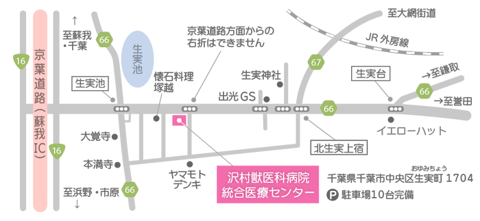 沢村獣医科病院 統合医療センター地図