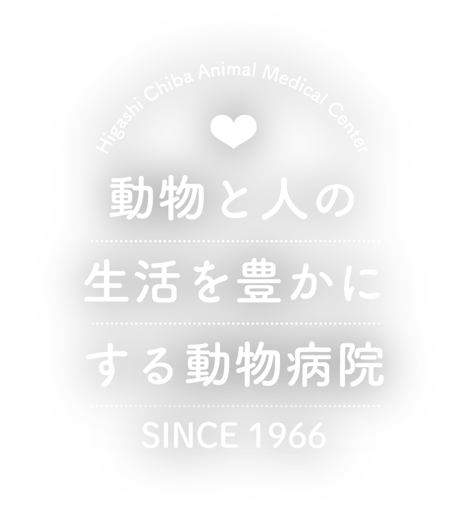 動物と人との生活が豊かになる動物病院