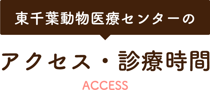 アクセス